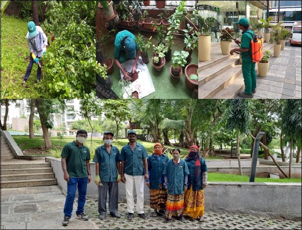 Nice Nursery & Gardening Services team