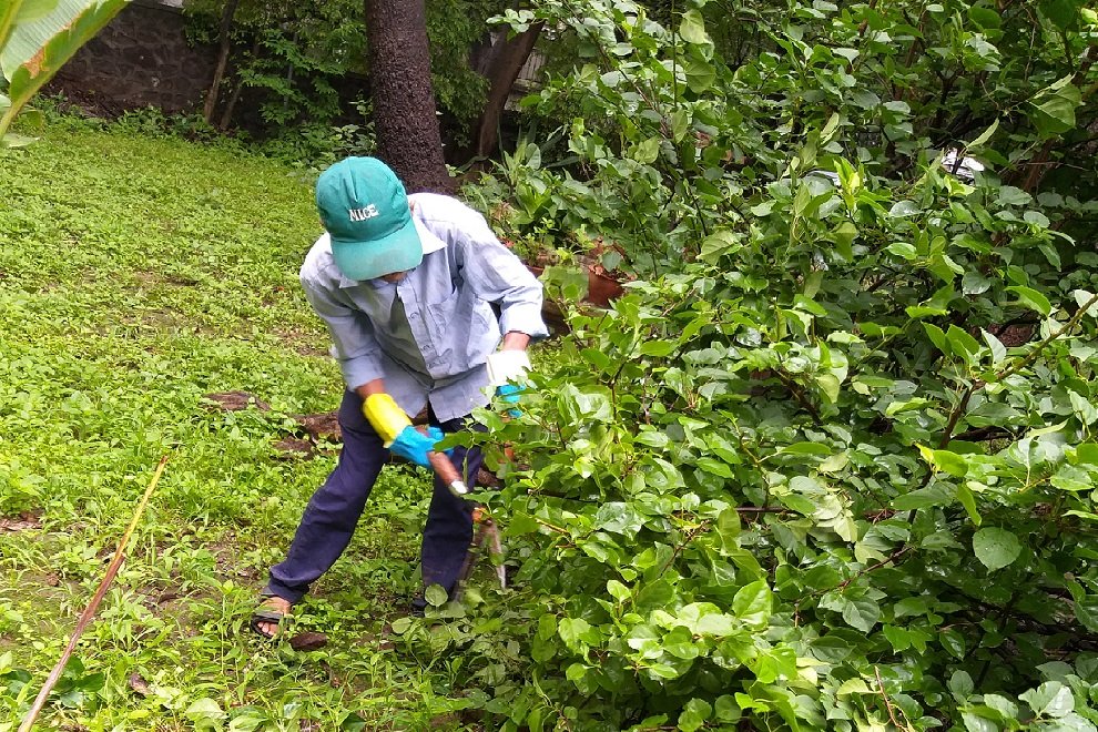 Garden maintenance work