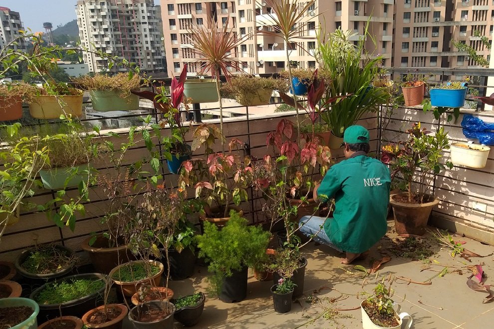 Garden manure application