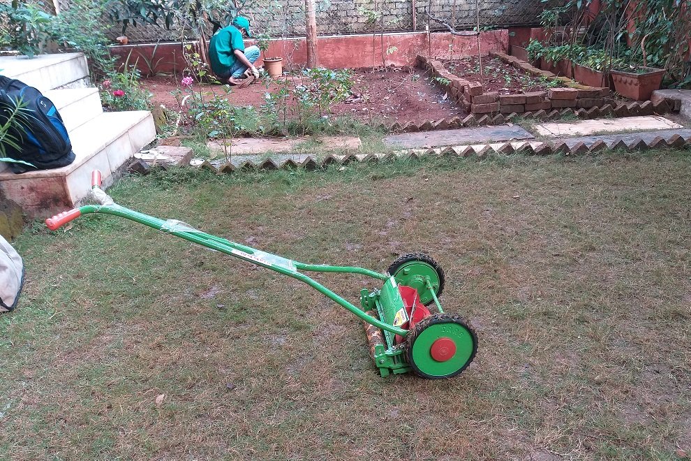 Grass cutting in a society