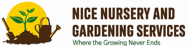 Nice Nursery and Gardening Services